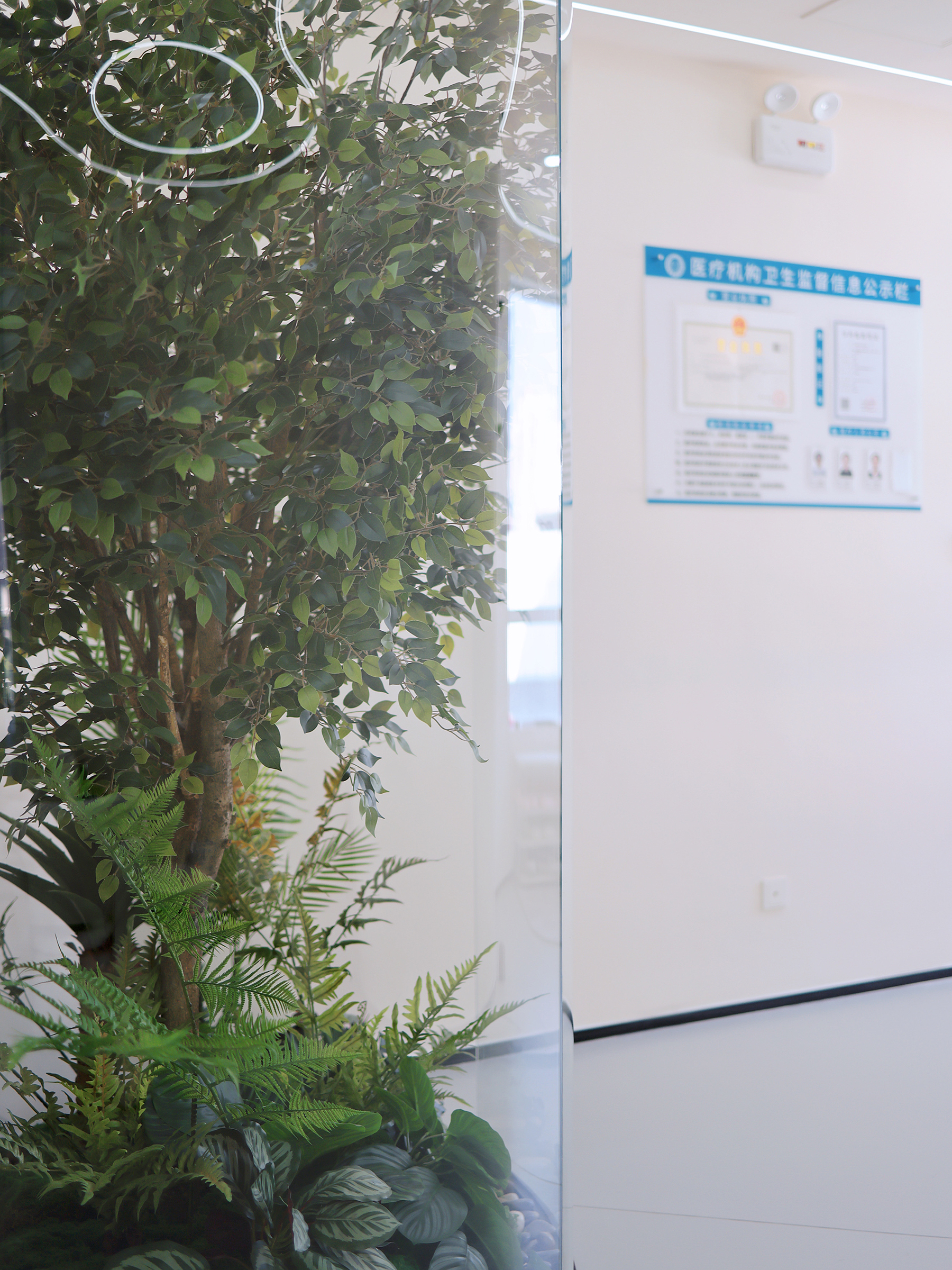 诊所环境